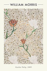 William Morris - Garden Tulip by Walljar