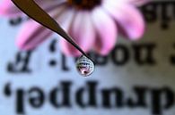 Dictionairy with pink flower van Inge van den Brande thumbnail