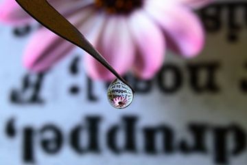 Wörterbuch mit rosa Blume von Inge van den Brande