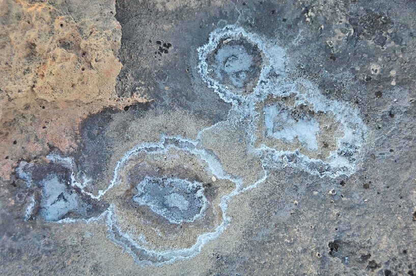 Salt van Willem van Leuveren Fotografie