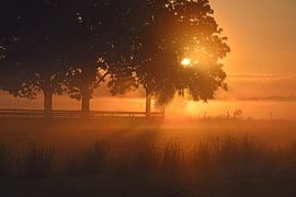 Sunrise by Jitske Van der gaast