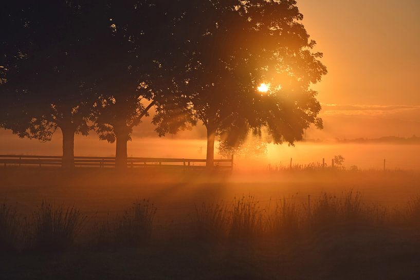 Sunrise by Jitske Van der gaast