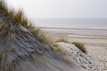 Strand en duinen op Schouwen-Duiveland