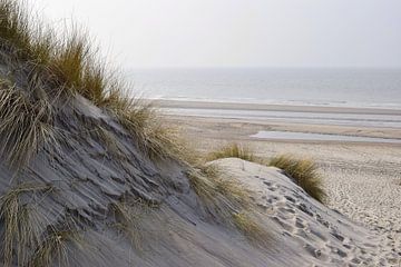 Strand en duinen op Schouwen-Duiveland van Nicolette Vermeulen