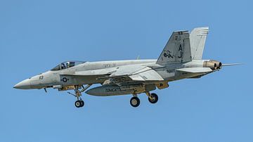 Boeing F/A-18E Super Hornet from VFA-31 Tomcatters. by Jaap van den Berg