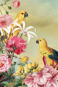 Birds from Paradise by Marja van den Hurk