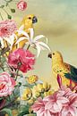 Birds from Paradise van Marja van den Hurk thumbnail