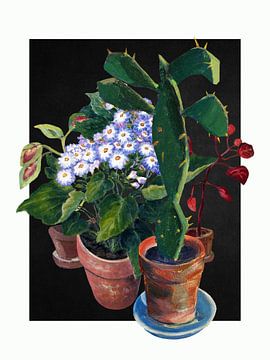 From the Greenhouse van Marja van den Hurk