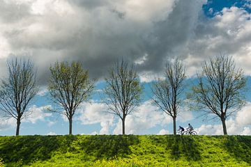 Cycling Netherlands by Brian Morgan