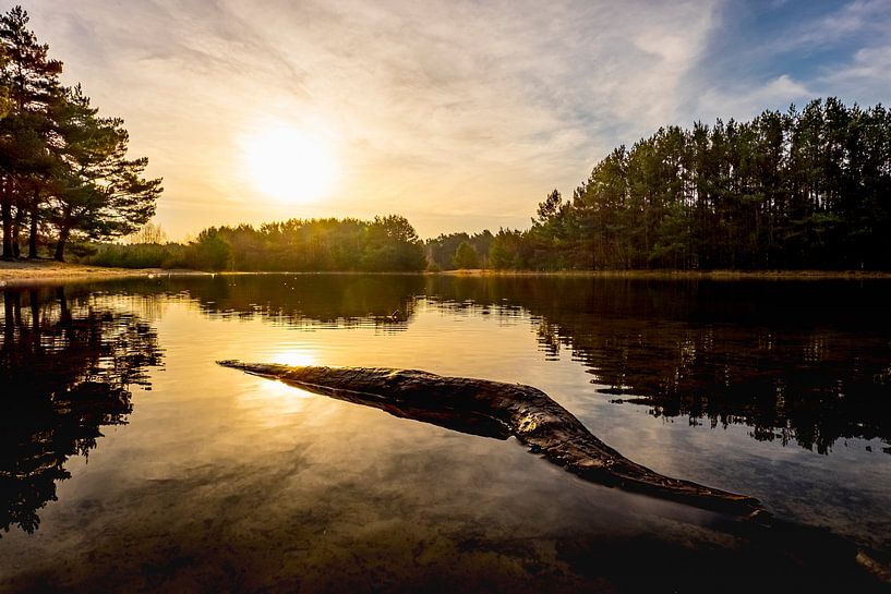 Lever de soleil sur l'Herperduin, Brabant Nord par Marcel Bakker