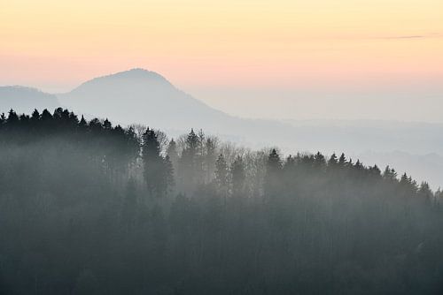 Stuifengipfel in the fog