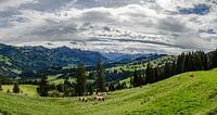 Uitzicht in Zwitserland von Marcel Pietersen Miniaturansicht
