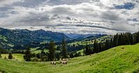 Uitzicht in Zwitserland