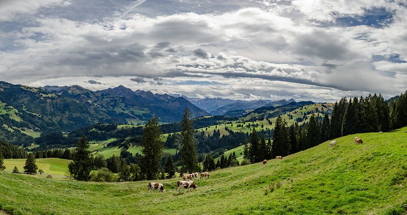 Uitzicht in Zwitserland van Marcel Pietersen