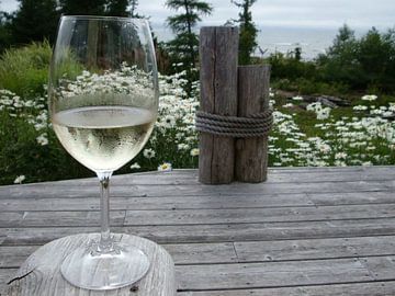 Wijn met uitzicht by Sanne Compeer