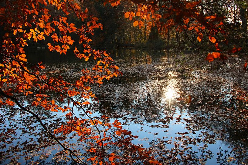 Herfst bij de vijver, avondsfeer van SusaZoom
