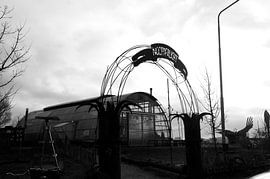 NDSM-Gebiet Amsterdam Nord von Willem Holle WHOriginal Fotografie