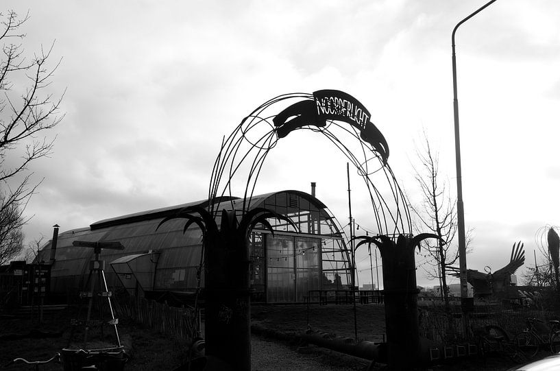 NDSM Terrain Amsterdam Nord par Willem Holle WHOriginal Fotografie
