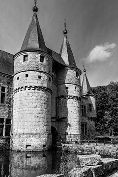 Kasteel van Spontin, Namen, België van Imladris Images