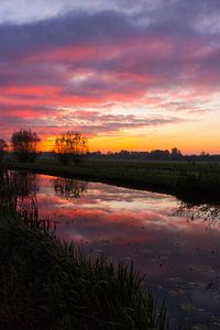 Zonsopgang in de polder