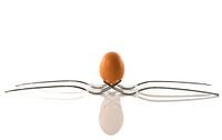 een ei balanceert op twee vorken van ChrisWillemsen thumbnail