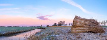 Wintersonnenaufgang über dem Zwartendijk in der IJsseldelta Region von Sjoerd van der Wal Fotografie