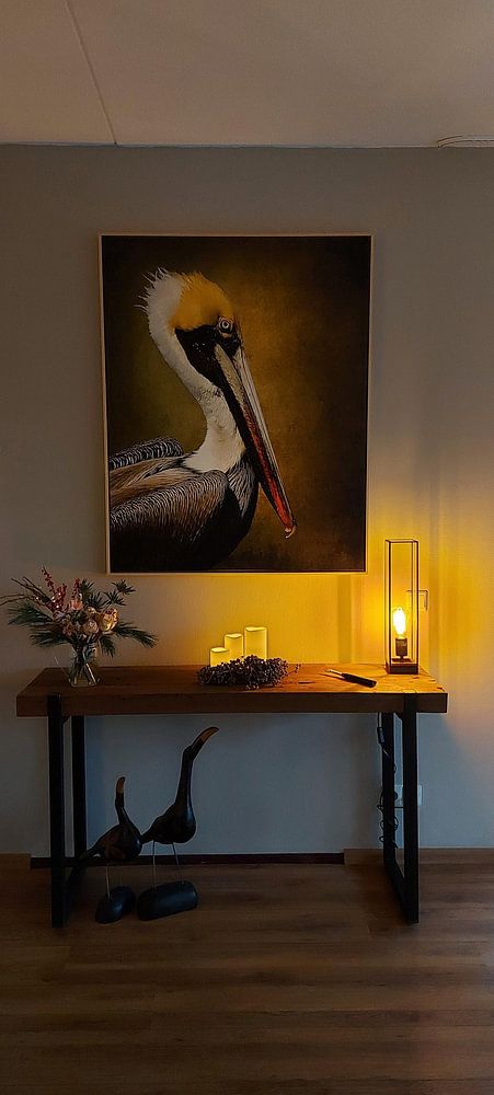 Portrait Of A Pelican  by Diana van Tankeren 