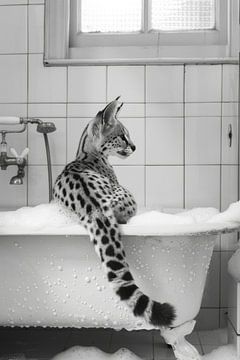 Serval dans la baignoire - une charmante œuvre d'art pour vos toilettes sur Felix Brönnimann