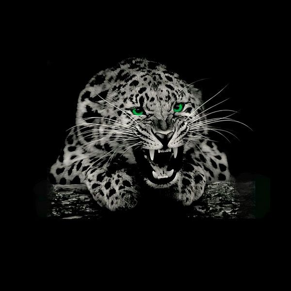 Leopard Green Eyes by Yoga Pranata