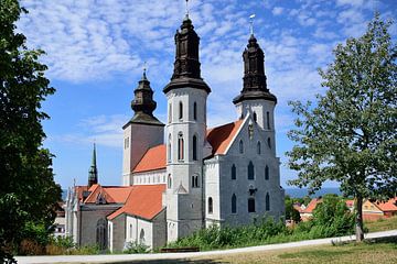 Die Kathedrale von Visby von Frank's Awesome Travels