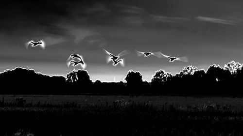 Flug bei Sonnenuntergang von Ruud Otter