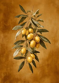 Olive branch with dewdrops