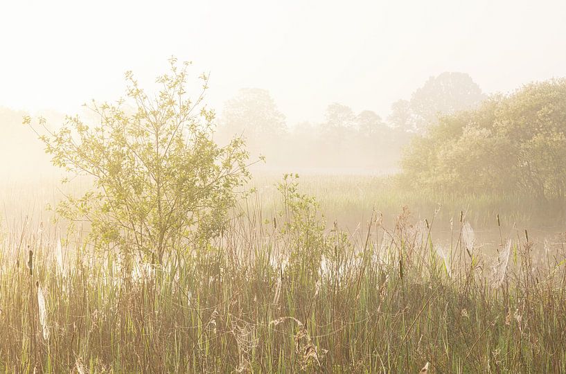 Sunrise Drenthe (Netherlands) by Marcel Kerdijk