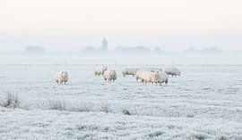 Hollands winterlandschap met schapen en kerk van Connie de Graaf