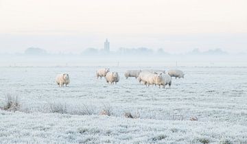 Hollands winterlandschap met schapen en kerk van Connie de Graaf