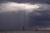 Lemsteraken in spotlight