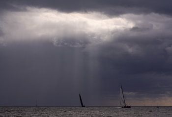 Lemsteraken in spotlight