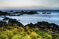 Rocky beach with water and grass in strong wind by Ralf Lehmann thumbnail