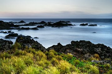 Rocky beach with water and grass in strong wind by Ralf Lehmann