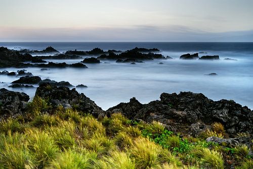 Rocky beach with water and grass in strong wind