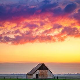 Sheep pen during sunset. by Justin Sinner Pictures ( Fotograaf op Texel)