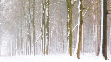 Boslandschap in de sneeuw van Francis Dost
