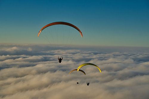 Gleitschirmfieger in den französischen Alpen von Tanja Voigt