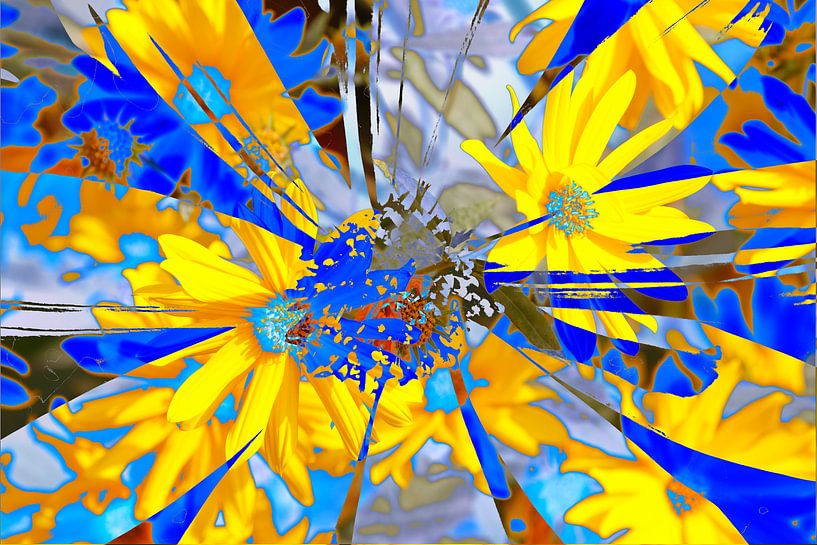 Sonnenhut , Blumen , abstrakt,  (Rudbeckia fulgida) von Torsten Krüger