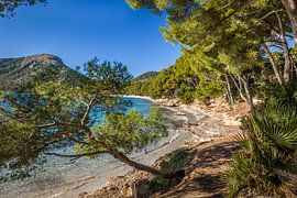 Strand Platja de Formentor, Mallorca von Christian Müringer