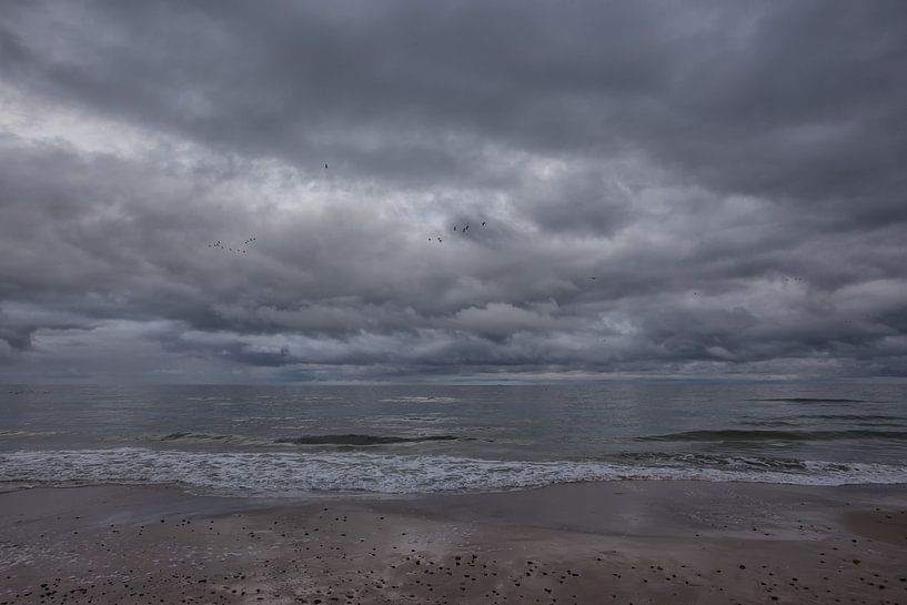 Dreiging by Dicky Boele