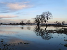 Reflection