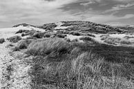 Paysage de dunes près du Kerf par Rob Donders Beeldende kunst Aperçu