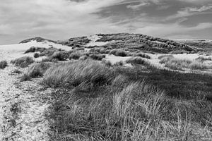 Dünenlandschaft in der Nähe des Kerf von Rob Donders Beeldende kunst