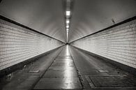 Antwerpener Schelde-Tunnel von Photobywim Willem Woudenberg Miniaturansicht